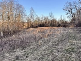 31766263