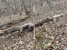 31766295
