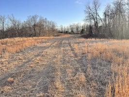 31766264
