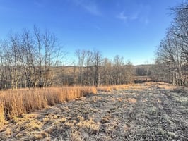 31766268