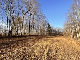 31766259