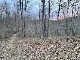31766309