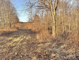 31766267