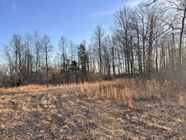31766274