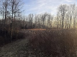 31766272