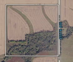 31766467