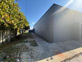 31768303