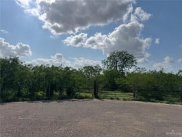 31769374