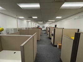 31769868