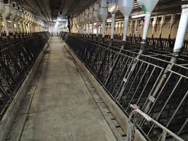 31770941