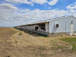 31770968