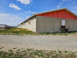 31770981