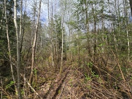 31772709