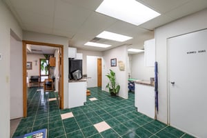 31775246