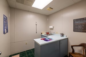 31775242