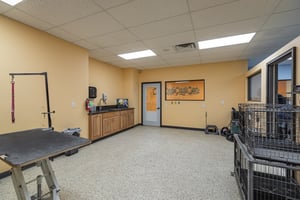 31775834