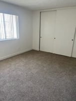 31796868