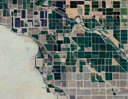31780391