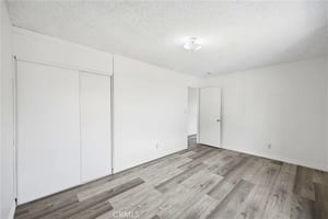 32791532