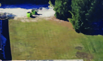 31783646