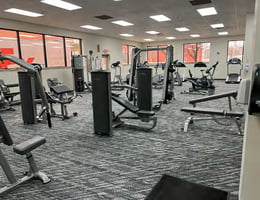31785842