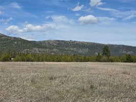 31786686