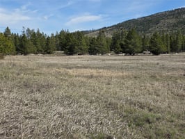 31786671