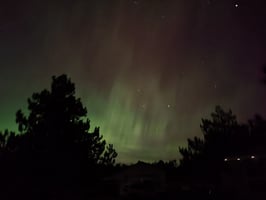 31786667
