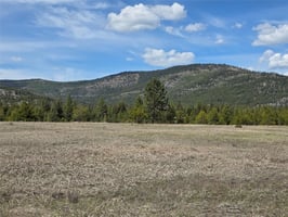 31786676