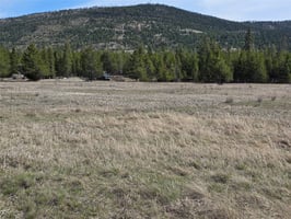 31786672