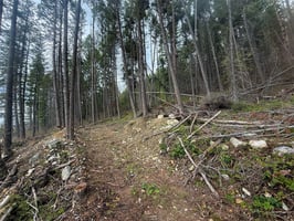 31786727