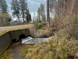 31786723