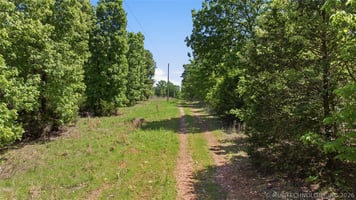 31786970