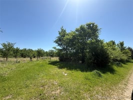 31787132