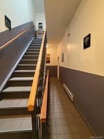 31788538