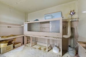 31795024