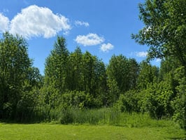 31797337