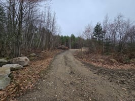 31796132