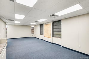 33767124