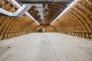 33753508