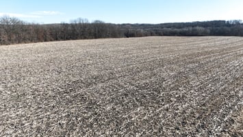 31803823