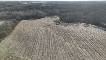 31803763