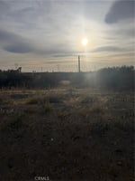 31806834