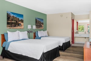 31807795