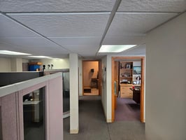 32938003