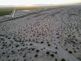 31807943