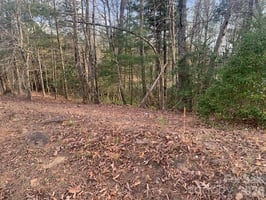 31808388
