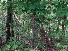 31809076