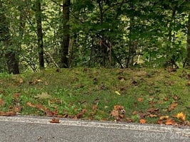 31809074