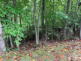 31809089